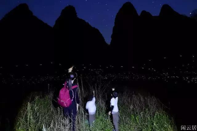 燃烧吧大脑装瓶子游戏