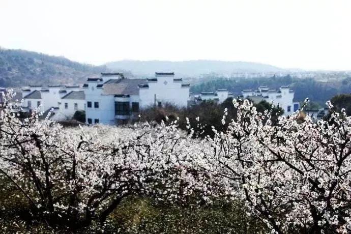 你最孤独最难熬的时光是怎样度过的？游戏画面